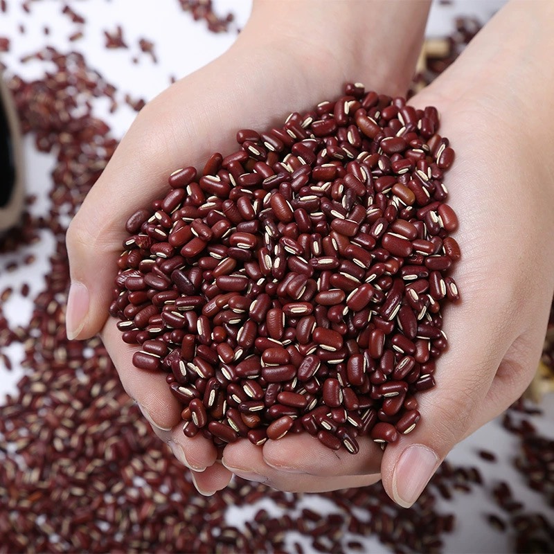赤小豆长粒非红豆农家自产红赤豆现货供应长粒赤豆